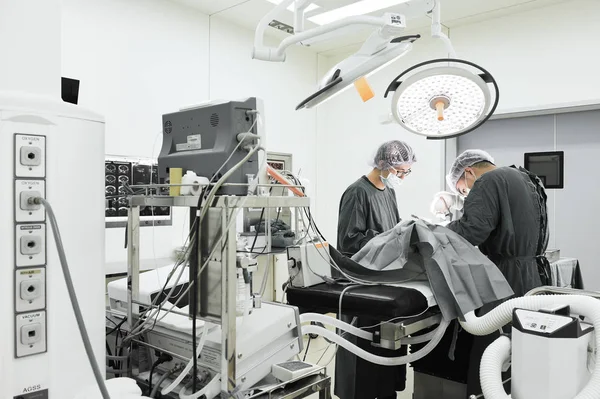 Two veterinarian surgeons in operating room — Stock Photo, Image