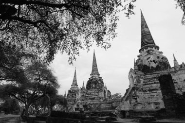 Wat Phra Sri Sanphet, Ayutthaya Tarih Parkı 