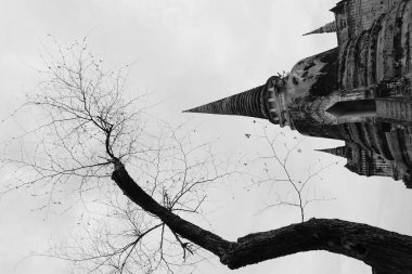 Wat Phra Sri Sanphet, Ayutthaya Tarih Parkı 