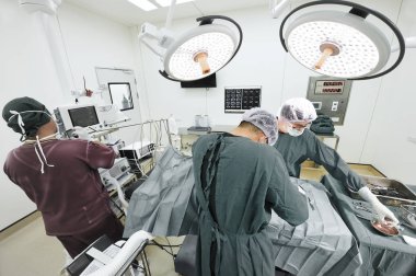 Veteriner Cerrahi operasyon odasında grup 