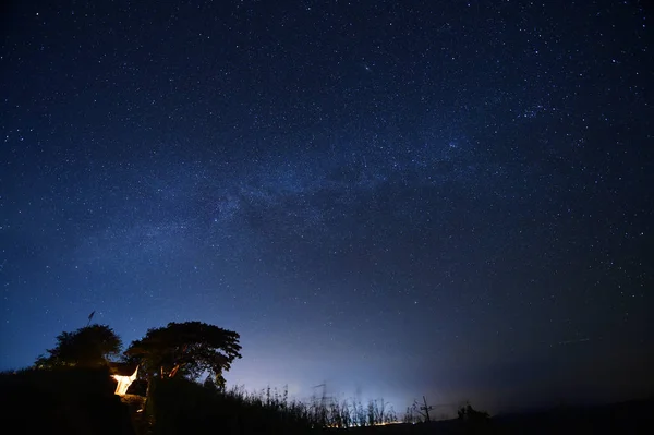 Éjszakai égbolt, a Tejút, az erdő és a fák — Stock Fotó