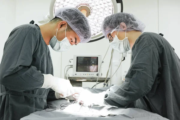 Dois cirurgiões veterinários na sala de operações — Fotografia de Stock