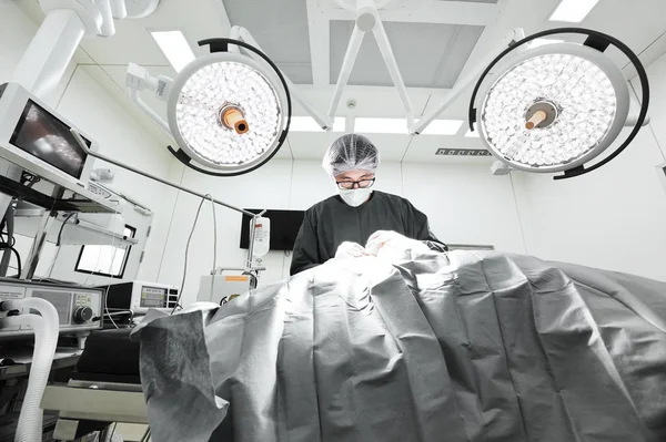 Dierenarts chirurgen in de operatiekamer — Stockfoto