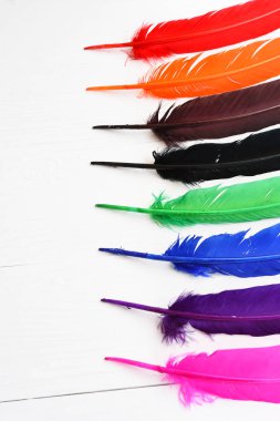 Beyaz arka plan üzerinde izole renkli tüy