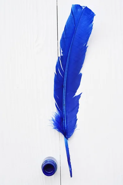 Niebieskie pióro i atrament — Zdjęcie stockowe