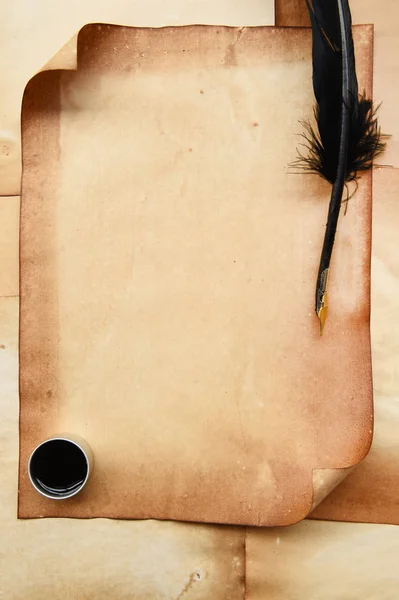 羽とインクの古い紙 — ストック写真