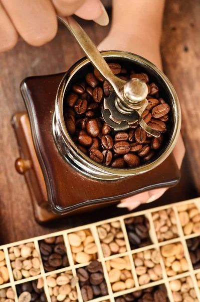 Biji kopi segar dalam mangkuk dan biji kopi di penggiling kopi — Stok Foto