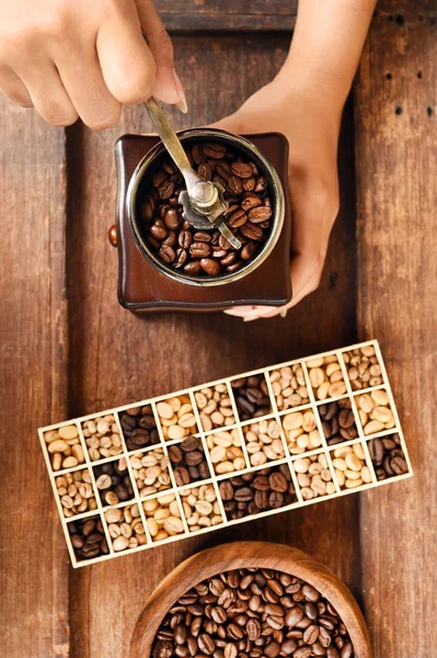 Freshly coffee beans in bowl  and coffee beans in coffee grinder — Stock Photo, Image