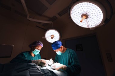 İki hayvan hastalıklarıyla ilgili cerrahlar 