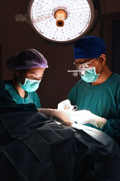 Two veterinarian surgeons — Stock Photo, Image