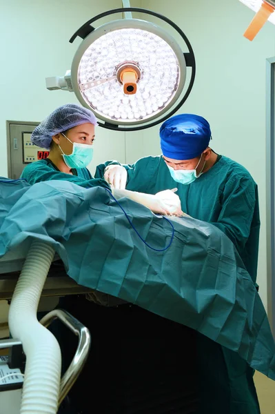 Twee dierenarts chirurgen — Stockfoto