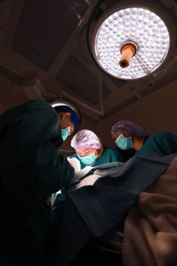 Veteriner cerrahi grubu 