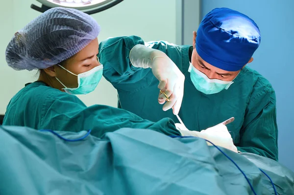 Két állatorvos sebész — Stock Fotó