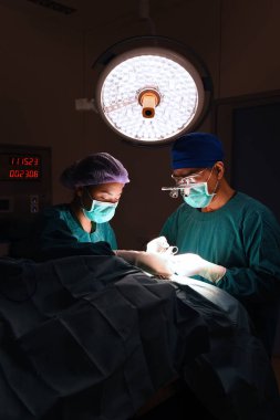 İki hayvan hastalıklarıyla ilgili cerrahlar 