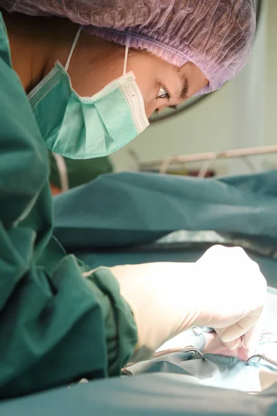 Cirurgiões veterinários na sala de cirurgia — Fotografia de Stock