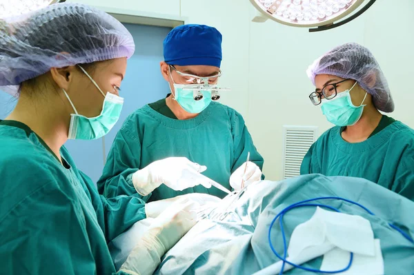 Gruppe der tierärztlichen Chirurgie — Stockfoto