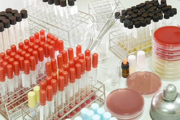 Blood testing in laboratory — Stock Photo, Image