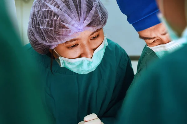 Two veterinarian surgeons — Stock Photo, Image
