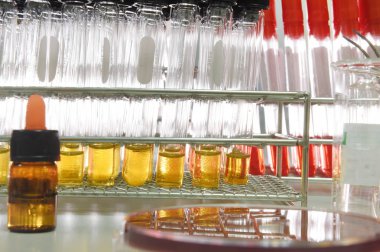 kimyasal laboratuvar deney 