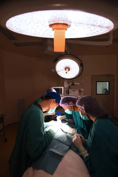 Grupp av veterinär kirurgi — Stockfoto