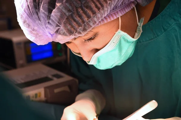 Cirurgiões veterinários na sala de cirurgia — Fotografia de Stock