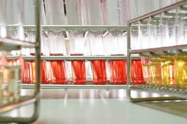 kan laboratuarda test