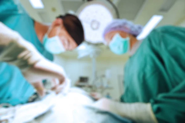 Blur of two of veterinarian surgery — Stock Photo, Image