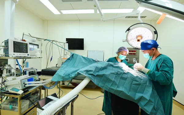 Two of veterinarian surgery — Stock Photo, Image