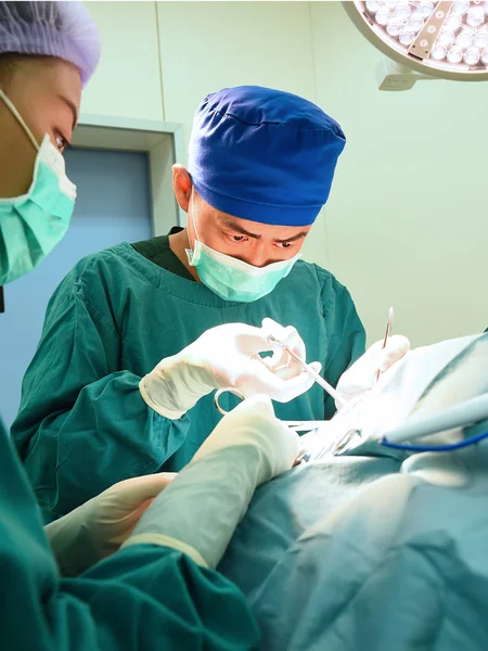 Iki veteriner cerrahi — Stok fotoğraf