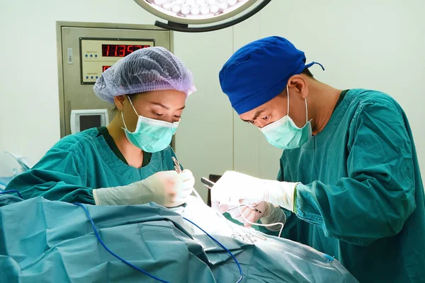 Két műtét állatorvos — Stock Fotó