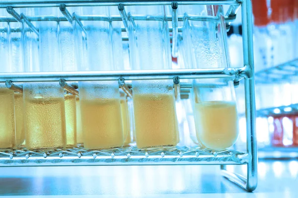 Experiment in chemical laboratory with yellow liquid for analysis — Stock Photo, Image