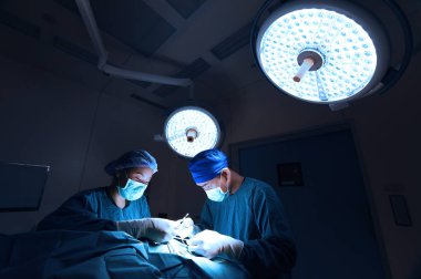iki veteriner Cerrahi operasyon odasında 