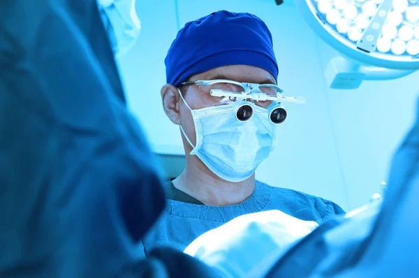 Veterinär kirurgi i drift rum — Stockfoto
