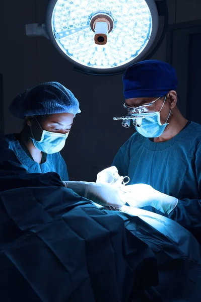 Dva z veterinární chirurgie v operační místnosti — Stock fotografie