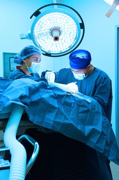 Dois de cirurgia veterinária na sala de operação — Fotografia de Stock