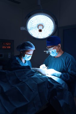 iki veteriner Cerrahi operasyon odasında 