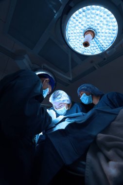 Veteriner Cerrahi operasyon odasında grup 