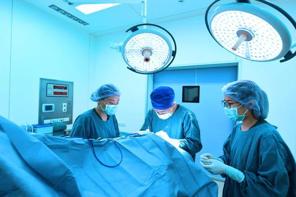 Groep van dierenarts chirurgie in operatie kamer — Stockfoto