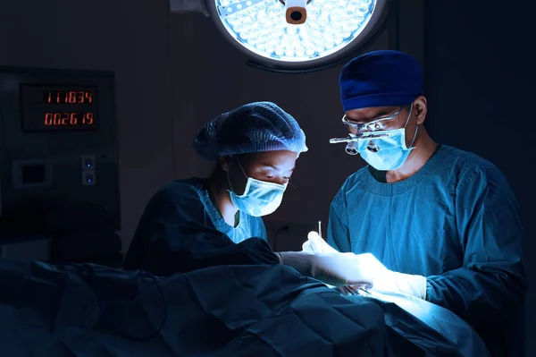 Dois de cirurgia veterinária na sala de operação — Fotografia de Stock