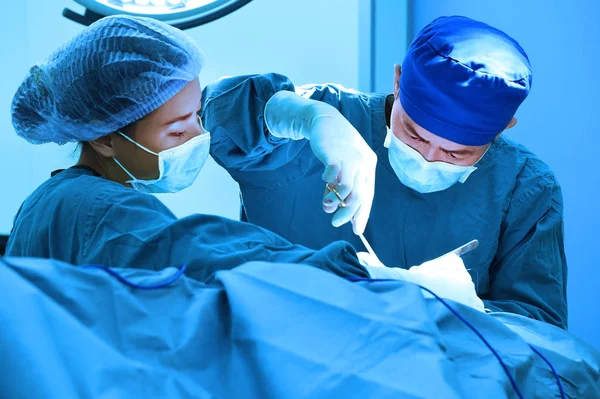 Dva z veterinární chirurgie v operační místnosti — Stock fotografie