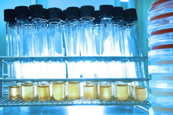 Experimento em laboratório químico com líquido amarelo para análise — Fotografia de Stock