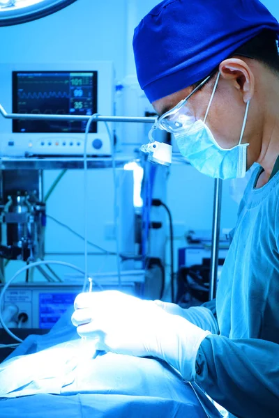 Cirurgiões veterinários na sala de cirurgia — Fotografia de Stock