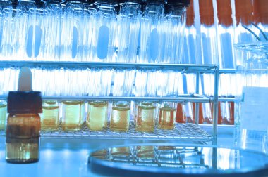 analiz için sarı sıvı kimyasal laboratuvar deney