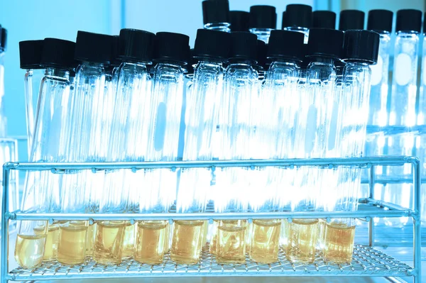 Experiment in chemical laboratory with yellow liquid for analysis — Stock Photo, Image