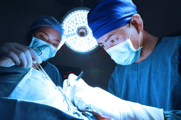 Deux de chirurgie vétérinaire en salle d'opération — Photo