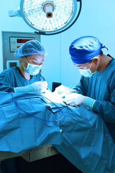 Two of veterinarian surgery in operation room — Stock Photo, Image