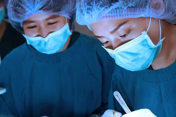 Dois de cirurgia veterinária na sala de operação — Fotografia de Stock