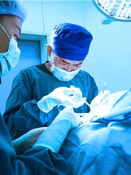 Two of veterinarian surgery in operation room — Stock Photo, Image