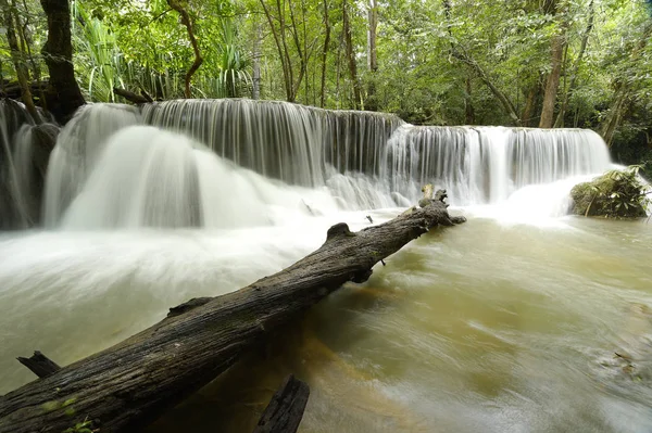 Yeşil ormanda güzel bir şelale 