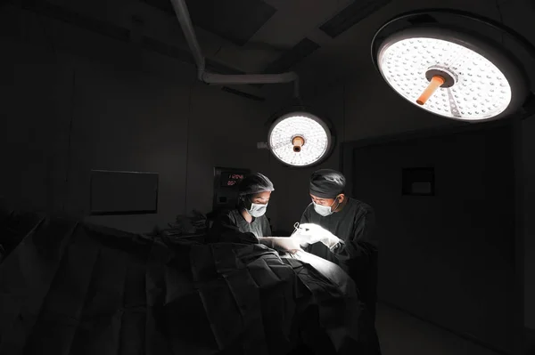 Two of veterinarian surgery in operation room — Stock Photo, Image